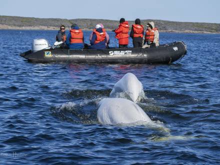 Zodiac charter on Churchill River.