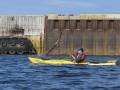 Kayaking with beluga whales in Churchill