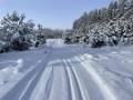 Winter Ski Trails