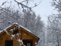 Poplar Cabin