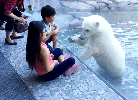 winnipeg tourism