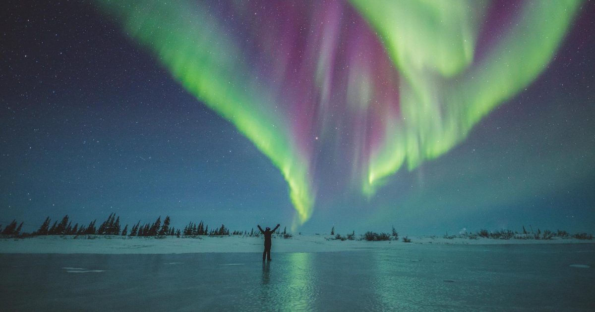 https://www.travelmanitoba.com/imager/s3_us-west-1_amazonaws_com/manitoba-2020/images/01-things-to-do/outdoors-nature/Northern-Lights_Aurora-Pod-2_Credit-Travel-Manitoba-large_6d1a392b423f42e2cd0adddf1fa42ecd.jpg