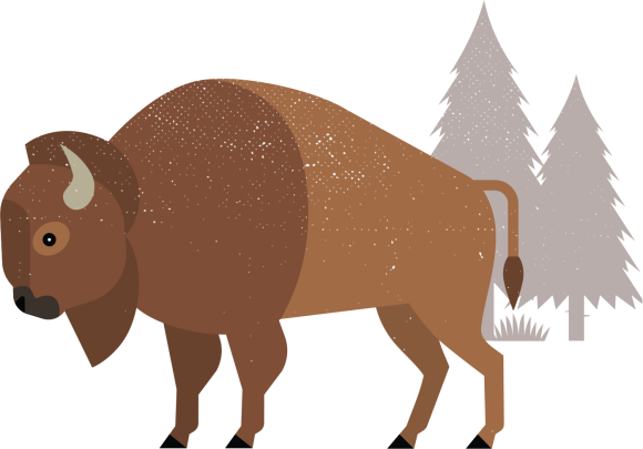 Illustration of a bison with two pine trees in the background.