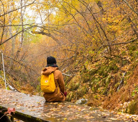 Lady sits on a wood bridge admiring falling autumn leaves wearing her yellow backpack that blends in with the natures colours