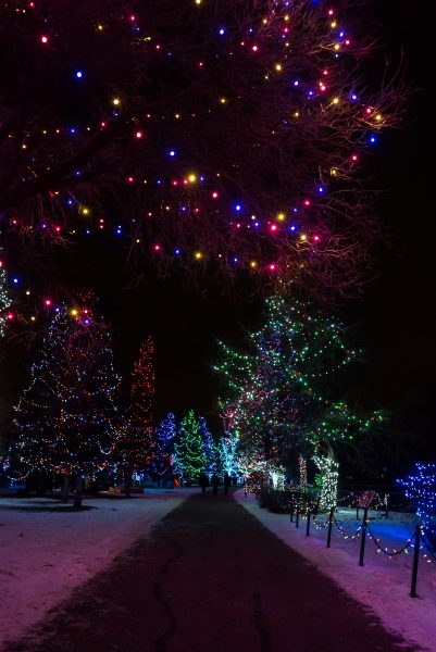 13 Fun and Festive Things to Do in Manitoba | Travel Manitoba